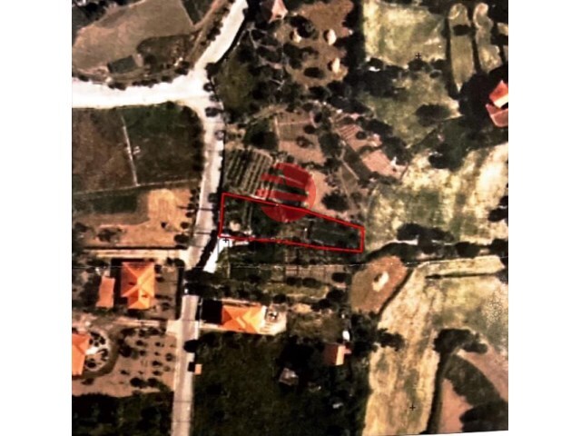 Terreno R�stico - Mangualde, Mangualde, Viseu - Imagem grande
