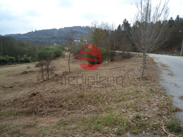 Quinta - Fragosela, Viseu, Viseu - Imagem grande