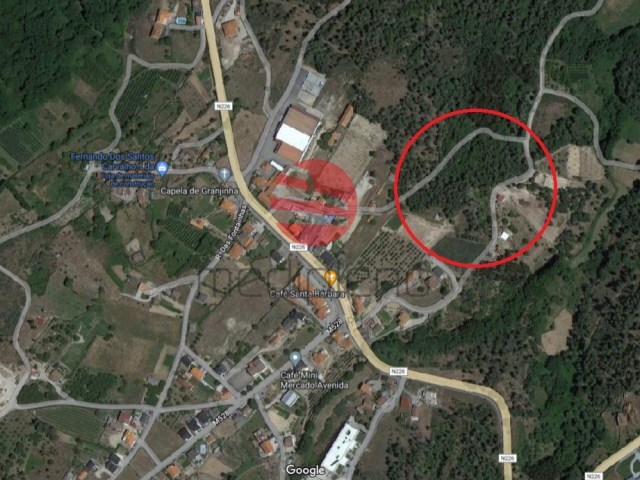 Terreno Rústico - Sever, Moimenta da Beira, Viseu - Imagem grande