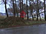 Terreno R�stico - Campo, Viseu, Viseu - Miniatura: 1/1