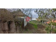 Terreno Rstico - Pampilhosa, Mealhada, Aveiro - Miniatura: 1/1