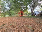 Terreno R�stico - Barreiros, Viseu, Viseu - Miniatura: 1/5