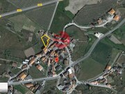 Moradia - Leomil, Moimenta da Beira, Viseu - Miniatura: 5/5