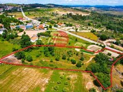Terreno R�stico - Meda, Meda, Guarda - Miniatura: 2/9