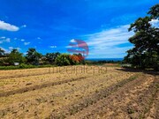 Terreno R�stico - Meda, Meda, Guarda - Miniatura: 4/9