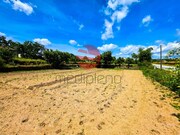 Terreno R�stico - Meda, Meda, Guarda - Miniatura: 5/9