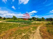 Terreno R�stico - Meda, Meda, Guarda - Miniatura: 6/9