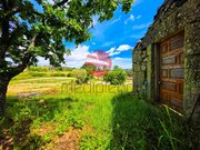 Terreno R�stico - Meda, Meda, Guarda - Miniatura: 9/9