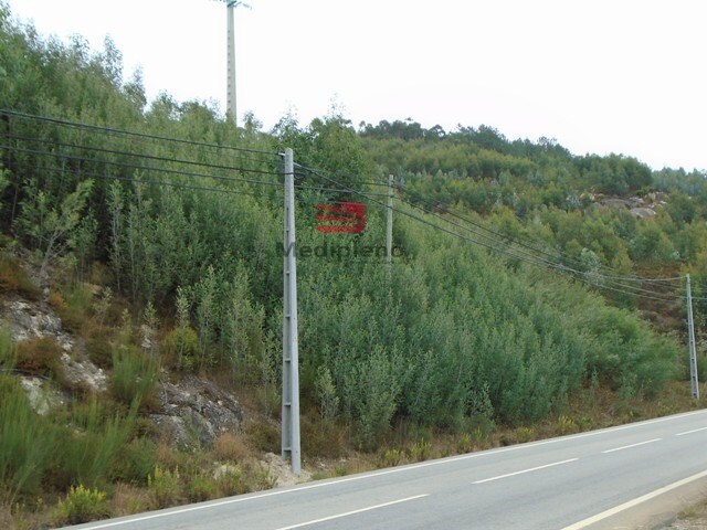 Terreno Rústico - Talhadas, Sever do Vouga, Aveiro - Imagem grande