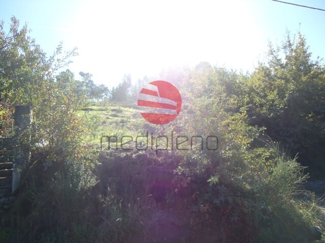 Terreno Rstico - So Cipriano, Viseu, Viseu - Imagem grande