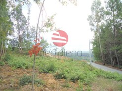 Terreno R�stico - S�o Cipriano, Viseu, Viseu
