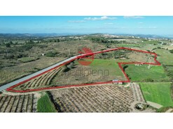 Terreno R�stico - Meda, Meda, Guarda