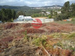 Terreno R�stico - Orgens, Viseu, Viseu