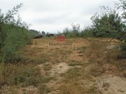 Terreno Rstico - Talhadas, Sever do Vouga, Aveiro - Miniatura: 1/5