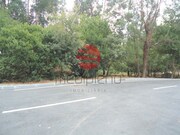 Terreno R�stico - S�o Cipriano, Viseu, Viseu - Miniatura: 2/2