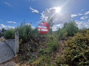 Terreno R�stico - Cavern�es, Viseu, Viseu - Miniatura: 1/2