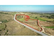 Terreno R�stico - Meda, Meda, Guarda - Miniatura: 2/5
