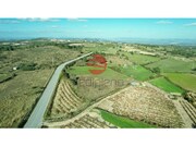 Terreno R�stico - Meda, Meda, Guarda - Miniatura: 4/5