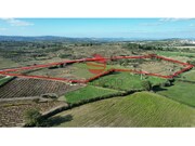 Terreno R�stico - Meda, Meda, Guarda - Miniatura: 5/5