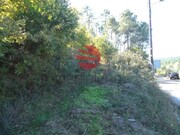 Terreno Rstico - So Cipriano, Viseu, Viseu - Miniatura: 1/5