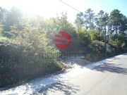 Terreno Rstico - So Cipriano, Viseu, Viseu - Miniatura: 3/5