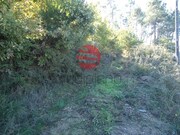 Terreno Rstico - So Cipriano, Viseu, Viseu - Miniatura: 4/5