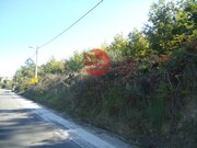 Terreno Rstico - So Cipriano, Viseu, Viseu - Miniatura: 5/5