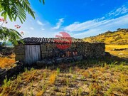 Terreno R�stico - Marialva, Meda, Guarda - Miniatura: 7/9
