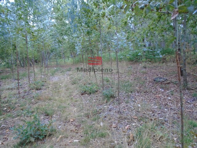 Terreno R�stico - Boa Aldeia, Viseu, Viseu - Imagem grande