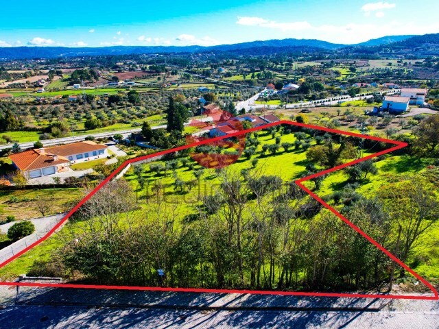Terreno R�stico - S�o Pedro, Celorico da Beira, Guarda - Imagem grande