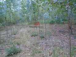 Terreno R�stico - Boa Aldeia, Viseu, Viseu