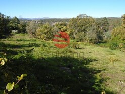 Terreno R�stico - Viseu, Viseu, Viseu