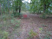 Terreno R�stico - Boa Aldeia, Viseu, Viseu - Miniatura: 1/2