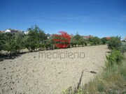 Terreno R�stico - Mangualde, Mangualde, Viseu - Miniatura: 1/2