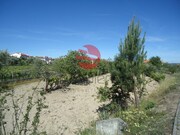 Terreno R�stico - Mangualde, Mangualde, Viseu - Miniatura: 2/2