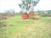 Terreno R�stico - Bodiosa, Viseu, Viseu - Miniatura: 1/4