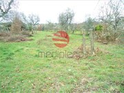 Terreno R�stico - Bodiosa, Viseu, Viseu - Miniatura: 2/4