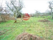 Terreno R�stico - Bodiosa, Viseu, Viseu - Miniatura: 3/4