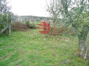Terreno R�stico - Bodiosa, Viseu, Viseu - Miniatura: 4/4