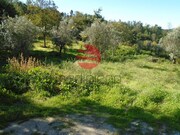 Terreno Rstico - Viseu, Viseu, Viseu - Miniatura: 1/4