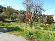 Terreno Rstico - Viseu, Viseu, Viseu - Miniatura: 2/4