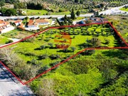 Terreno R�stico - S�o Pedro, Celorico da Beira, Guarda - Miniatura: 1/5