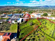 Terreno R�stico - S�o Pedro, Celorico da Beira, Guarda - Miniatura: 2/5