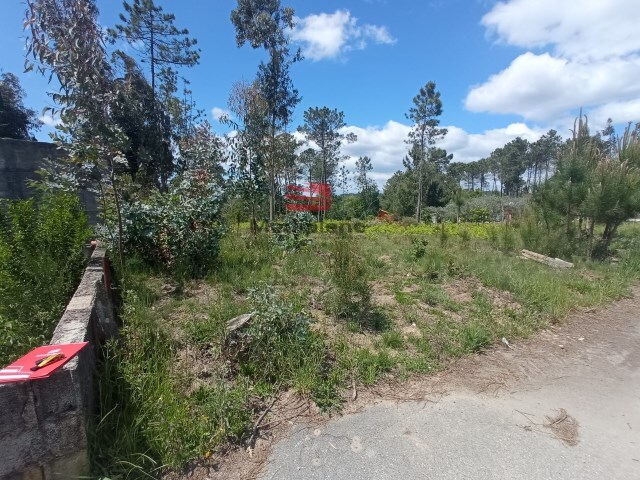 Terreno R�stico - Bodiosa, Viseu, Viseu - Imagem grande