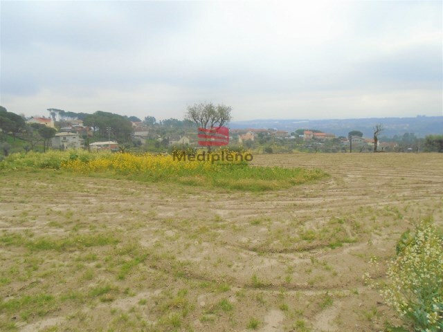 Terreno R�stico - S. Jo�o de Lourosa, Viseu, Viseu - Imagem grande