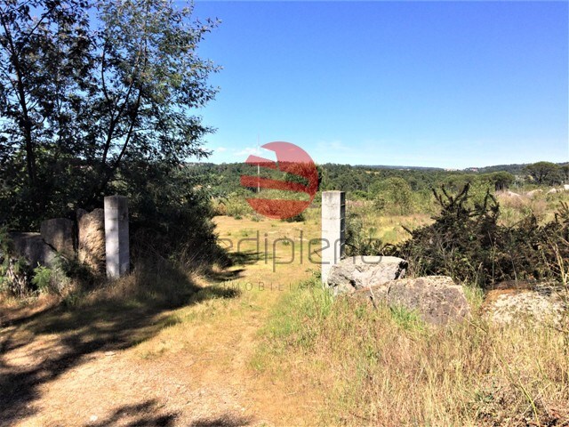 Terreno R�stico - S. Jo�o de Lourosa, Viseu, Viseu - Imagem grande