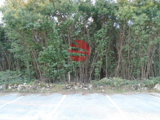 Terreno R�stico - Povolide, Viseu, Viseu - Imagem grande