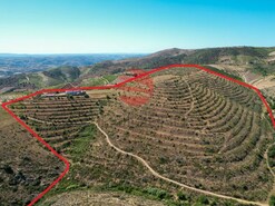 Quinta > T6 - Freixo de Num�o, Vila Nova de Foz C�a, Guarda