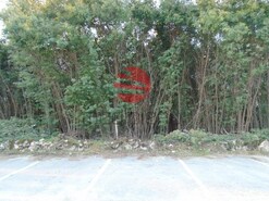 Terreno R�stico - Povolide, Viseu, Viseu