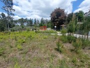 Terreno R�stico - Bodiosa, Viseu, Viseu - Miniatura: 2/3